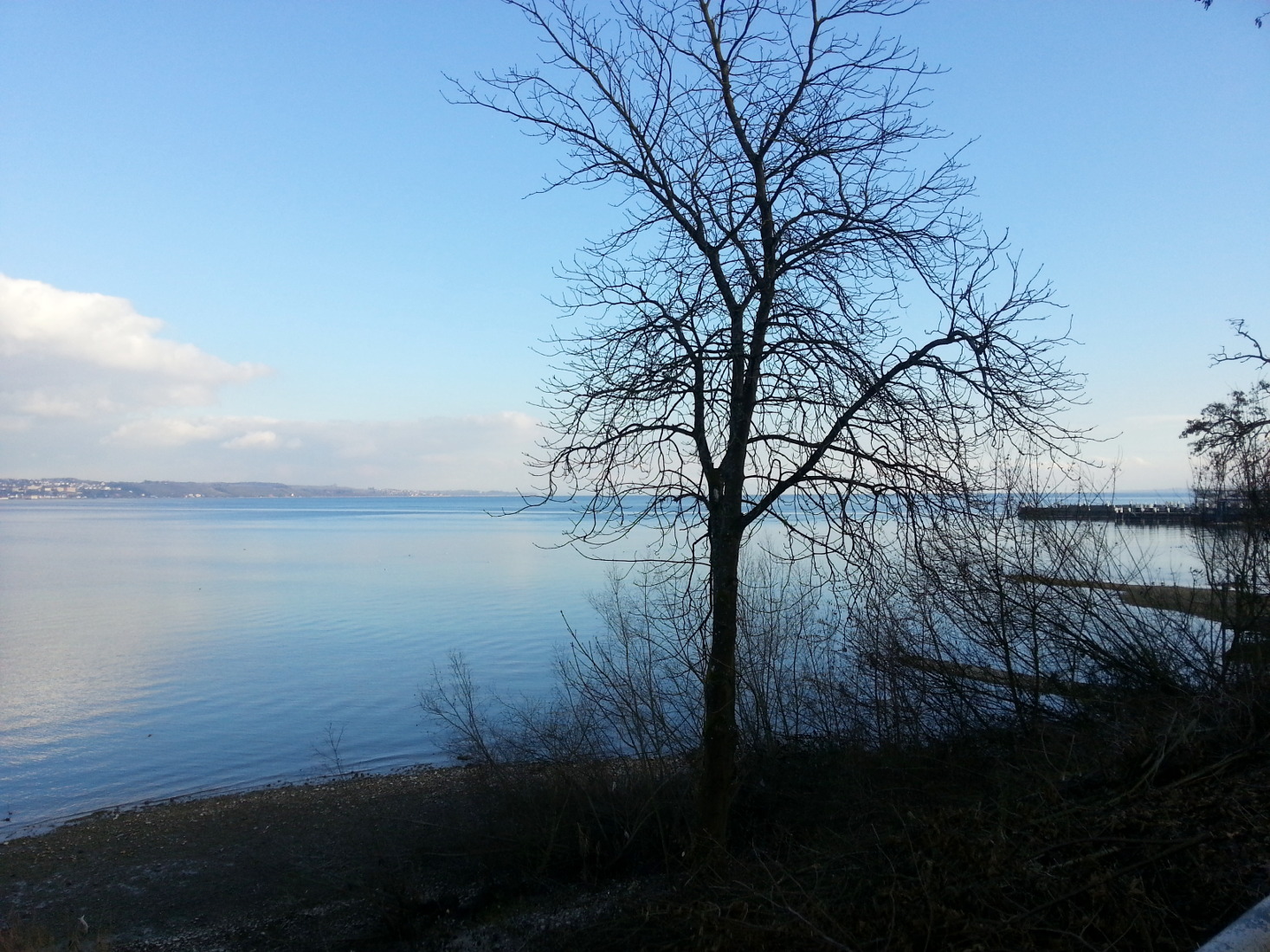 Blick auf den See im Winter - Konstanz Hohenegg