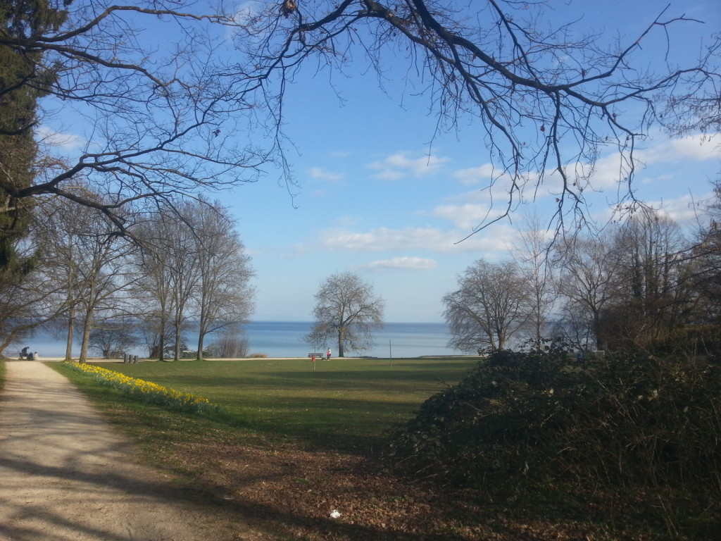 Frühling am See in Konstanz, verbinden mit Paket beim miradlo-versanddepot abholen, See, Narzissen, erste Knospen